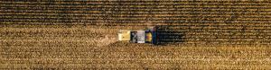agriculture industry