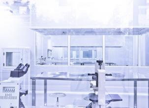  clean room processes