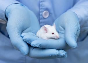 Lab Animal Science
